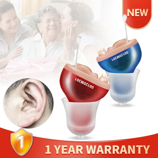 T12 Hearing Aids